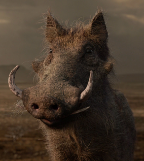 Pumbaa 2019 film The Lion King Wiki Fandom