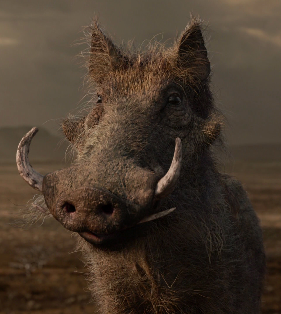 Pumbaa 19 Film The Lion King Wiki Fandom