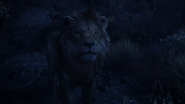 Lionking2019-animationscreencaps.com-10314
