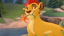 Kion finally succeeds in his task.