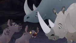 Cheezi and Chungu apologize for attacking the rhinoceroses.