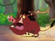 AQ Timon & Pumbaa2