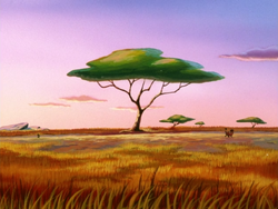 KBMF Timon & Pumbaa18