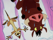 MOM Timon & Pumbaa24