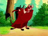 BL Pumbaa12