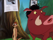 YR Timon & Pumbaa8