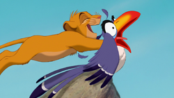Simba pounces on Zazu.