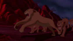 Lion-king-disneyscreencaps