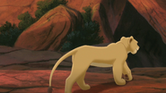 Lion-king2-disneyscreencaps.com-637