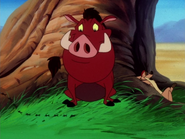 SH Timon Pumbaa & ants