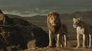 An official TV spot for The Lion King