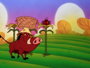 WAIW Pumbaa8