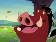 W Pumbaa16