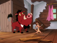 YMHAWSMB Timon & Pumbaa15