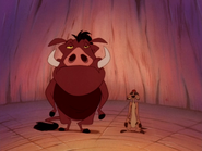 AQ Timon & Pumbaa48