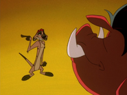 DHTVI Timon & Pumbaa16