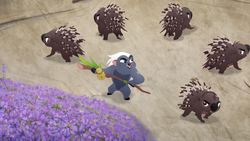 Binturong429