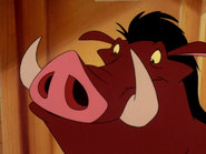 MIL Pumbaa4