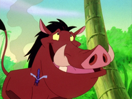 CS Pumbaa & mosquito2