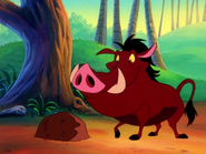 PP Pumbaa16