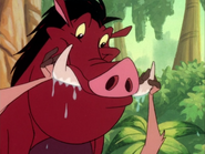 BGD Pumbaa28