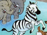 Sukari (zebra)