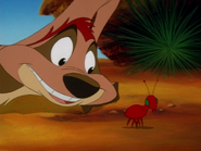 BOITO Timon10