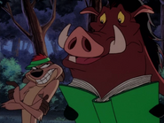 DCC Timon & Pumbaa9