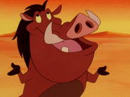 MD Pumbaa5