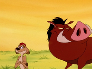 RITJ Timon & Pumbaa17