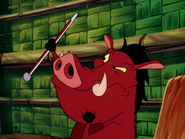 HEFY Pumbaa34