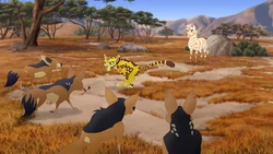 Reirei's pack attacks Dhahabu.
