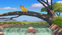 Kion uses a tree branch to cross a river.
