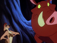 OB Timon & Pumbaa34