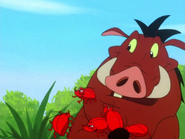 RFD Pumbaa & grubs2