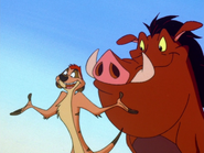 LIDN Timon & Pumbaa4