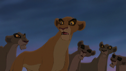 Lion-king2-disneyscreencaps