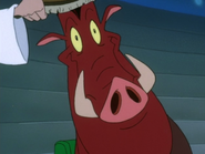 SSM Pumbaa9