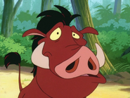 UBAE Pumbaa4