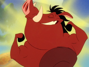 BOITO Pumbaa12