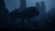 Lionking2019-animationscreencaps.com-4169