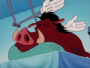 EFN Pumbaa9