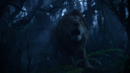 Lionking2019-animationscreencaps.com-10119