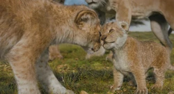 Kiara meets her newborn brother.