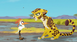 Ono shares in a meal of bugs with Fuli.