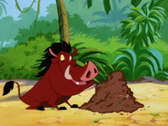 UBAE Pumbaa6