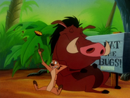 TTT Timon & Pumbaa2