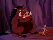 AQ Timon & Pumbaa18