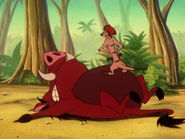 BGD Timon & Pumbaa3