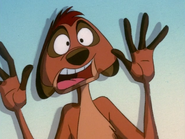 MM Timon8